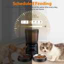 Automatic Cat Feeder, Cat Food Dispenser with Stainless Steel Bowl, Timed Portion Control 20 Portions 6 Meals Per Day, Voice Recorder, Dual Power Supply for Small Dogs