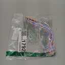 Unique style paws Dog Collar Metal Buckle Collar Gift for Boys Girls Dogs, Blue Pink