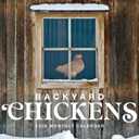 Backyard Chickens 2026 Calendar, 2026 Wall Calendar, Monthly Planner, Planner 2026-2027, Marble City Press, 12 x 24, Sustainable, Plastic Free, Printed on Thick Art Paper