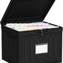 Oterri Plastic File Box with Lid for Letter Size Hanging File Folders, Hanging File Folder Box for Home, Office, School, File Cabinet, Assembly File Organizer, BlackLarge-1 Pack Without Folders