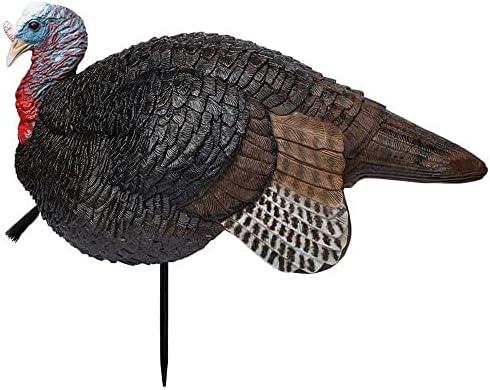 Primos Hunting Lil Gobstopper Jake Turkey Decoy Light-Weight, Collapsible Hunting Decoy 69074, Multi