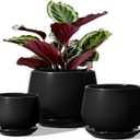 LE TAUCI Plant Pots, 4.1+5.1+6.5 inch, Set of 3, Ceramic Planters with Drainage Hole and Saucer, Indoor Flower Pot with Hole Mesh Pad, Gifts for Mom, Black