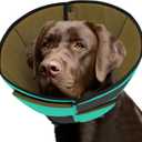 Queenmore Soft Cone for Dogs After Surgery, Dog Cones for Large Dogs to Stop Licking, Soft Dog Cone, Elizabethan Collar for Pets, Alternative Pet Recovery Collar for Wound Healing, (Green, L)