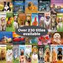 Border Terrier 2026 Calendar | Square Wall Calendar | Dog Breed Gift | Plastic Free Packaging | by Avonside Publishing