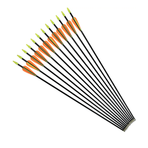 NIKA ARCHERY 24 26 28 30 Fiberglass Arrows for Youth Practise Recurvebow Compound Bow Shooting