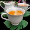 BKKDecor | Leaf Coasters for Drinks | Monstera Coaster Set of 6 | Tropical Leaf Decorations for Home | Gift Ideas Party Table Decor. (Monstera)