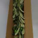 Waipfaru Faux Olive Branches for Vases, Olive Tree Branches with Lifelike Olives, Artificial Greenery Stems Decor for Centerpieces Floral Arrangements Vases (3Pcs, 18 Inch)