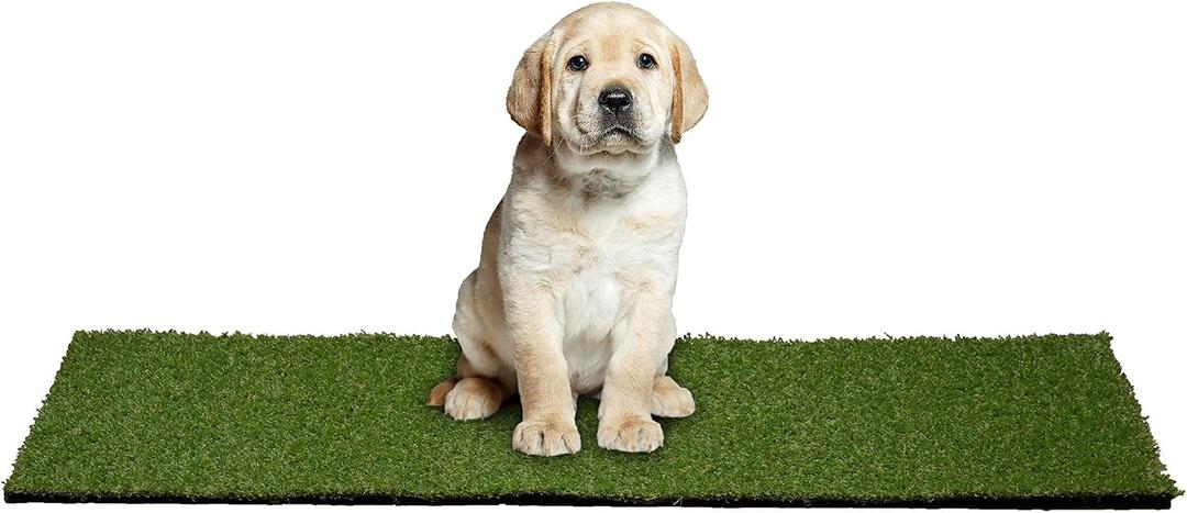 Garland Rug Outdoor Artificial Grass Puppy Pad 24" x 48" Non-Toxic, Realistic Turf with Drainage Holes & Easy-Clean Design, Perfect for Patios & Backyards