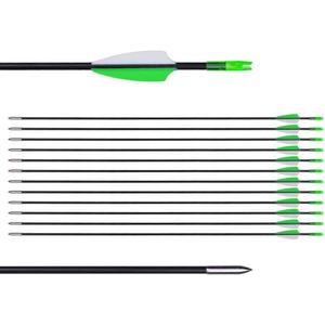 LWANO 31" Training Arrows-Archery Practice Target Arrows for Kids Youth or Beginners with Durable Shaft on Recurve Bow Compound Bow and Longbow (12pas Arrows, Green)