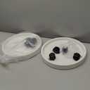 Plant Caddy Heavy Duty 13inch Plastic Round 2Pack Plant Dolly with Lockable Wheels Plant Stand Mover Indoor Outdoor for Planter Flower Potted Displaying (White)