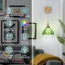 Nogcew Battery Operated Wall Sconce Set of 2,Adjustable Chain Retro Gold Wall Mounted Light,Rechargeable Wall Light with Remote, Wireless Indoor Wall Lamp for Living Room Bedroom