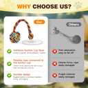 Interactive Dog Toy with Suction Cup, Rope Ball & Built-in Bell, Rainbow | Tug-of-War Interactive Play|Supports Puppy Teething & Healthy Chewing|Designed for Small Dogs|Solo Indoor Enrichment Toy