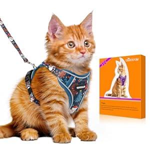 Halypet Cat Harness and Leash Set [MAX Safety 4th-Gen Upgrade] Escape Proof Adjustable Cat Leash Comfortable Soft Vest Easy to Wear Kitten Harness with Reflective Strip for Cats Walking, M Night Blue