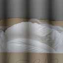 1 MIDDLE ONE Pregnancy Pillow, C Shaped Full Body Pillow for Maternity Support and Pregnant Women Sleeping with Velvet Cover (Dark Grey)