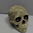 wynameleri Creative Skull Decor Skeleton Head Sculpture 8.1'' Human Statue Collectible Halloween Decoration Home Decoration SKL20