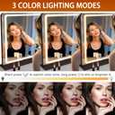 Hasipu Vanity Mirror with Lights, 31.5" x 22" LED Makeup Mirror, Lighted Makeup Mirror with Dimmable 3 Modes, Touch Screen Control Vanity Mirror Round Black (31.5"L x 22"W)