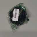 Restaurantware 3.3 Inch Shell Appetizer Plate 25 Disposable Plastic Appetizer Plate - Sturdy Shell-Shaped Black Plastic Cocktail Plates Perfect For Serving Amuse Bouche And Hors D'oeuvres