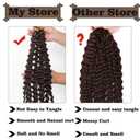2 x CTRLALT Deep Wave Crochet Hair white Ocean Deep Wave Crochet Hair 16 Inch Curly Braiding Hair for Crochet Braids (16Inch 2pack white) (350)