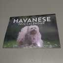 Havanese Calendar 2026 Wall 12 Month Monthly Havaneses Gifts For Havanese Lovers Women Men Mom Dad | American Made In The USA
