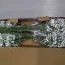 LYLYFAN Babys Breath Artificial Flowers,30 Pcs Gypsophila Faux Flowers for Wedding Party Home Garden Decoration, White