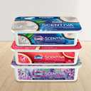 Clorox Scentiva Disinfecting Wet Mop Pad, Disposable Mop Heads, Coconut and Waterlily, 2 Packs, 24 Wet Refills Per Pack 