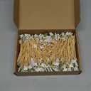 Chengu 400pcs Christmas Cocktail Picks Bulk 4.7 Inch Holly Berry Toothpicks for Appetizers Party Food Decoration Bamboo Cocktail Picks for Fruit Dessert Sandwich Cake Holiday Decoration Party Supplies