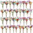 10/12/24/36 Pack Mini Dried Flowers for Vase Wedding Various Mini Bouquet Dried Small Wildflowers Natural Flowers Bulk for Crafts DIY Decor (36, Romantic Colour)