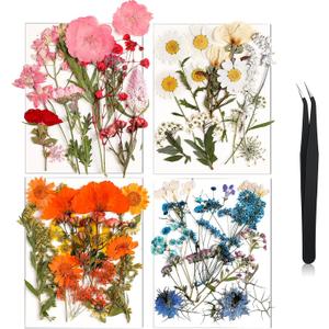 Nuanchu Dried Flower for Crafts Resin Pressed Flowers Bulk, Real Dried Wildflowers Leave Natural with Tweezer for Resin Mold Scrapbooking Nail Soap Candle Cake Card Making Christmas Craft DIY Supplies (Blend Color)