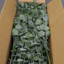 Eucalyptus Leaves Stems 200 PCS, 4 Kinds Mixed Artificial Greenery Stems for Wedding Decor Vase Floral Arrangement Centerpiece