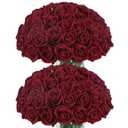 Coferset 50pcs Burgundy Artificial Roses Flowers in Bulk,Velvet Fake Rose with Long Stem Realistic Artificial Roses for Wedding Bouquets, DIY Centerpieces, Romantic Home & Party Decorations