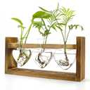 Air Plant Terrarium with Wooden Stand, Plant Propagation Stations with Heart Vase, Kawaii Plant Terrarium, Gifts for Plant Lovers Women, for Hydroponics Home Garden Office Decoration