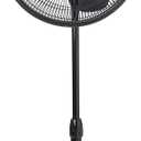 Lasko 2521 16 Inch 3-Speed Quiet Adjustable Tilting Wide-Area Oscillating Standing Pedestal Fan for Bedroom, Kitchen, Home, and Office, Black