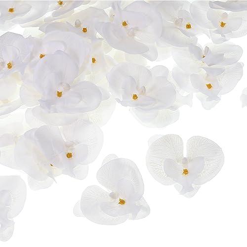 PATIKIL 2.8" Artificial Orchid Flower Heads, 80 Pack Silk Phalaenopsis Fake Butterfly Orchid Heads for Wedding Floral Bouquet Decor DIY Craft Making, Pure White