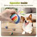 Nobleza Squeaky Tennis Balls for Dogs, 12 Pack 2.5" Floatable, Small Medium Dogs, Training, Natural Rubber, Rainbow
