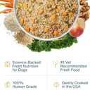 JustFoodForDogs Pantry Fresh Wet Dog Food, Complete Meal or Dog Food Topper, Chicken & White Rice Human Grade Dog Food Recipe - 12.5 oz (Pack of 12)