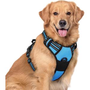 rabbitgoo Dog Harness No Pull with 2 Leash Clips, Adjustable Soft Padded, Reflective Oxford No Choke Pet Vest with Easy Control Handle for Large Dogs, Blue, XL