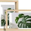 Egofine 5x7 Floating Frames Set of 2, Double Plexiglass Picture Frame, Made of Solid Wood Display Any Size Photo up to 5x7, Wall Mount or Tabletop Standing, Natural Wood