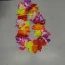 20pc Multicolor Hawaiian Leis for Graduation Party, Dance Party, Photo Prop in Outdoors (Multicolor)