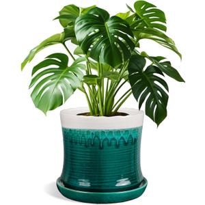 8 Inch Ceramic Plant Pot with Drainage Hole and Saucer, Waist-Shape Art Design for Indoor and Outdoor Planter, Flowing Glaze Green and White