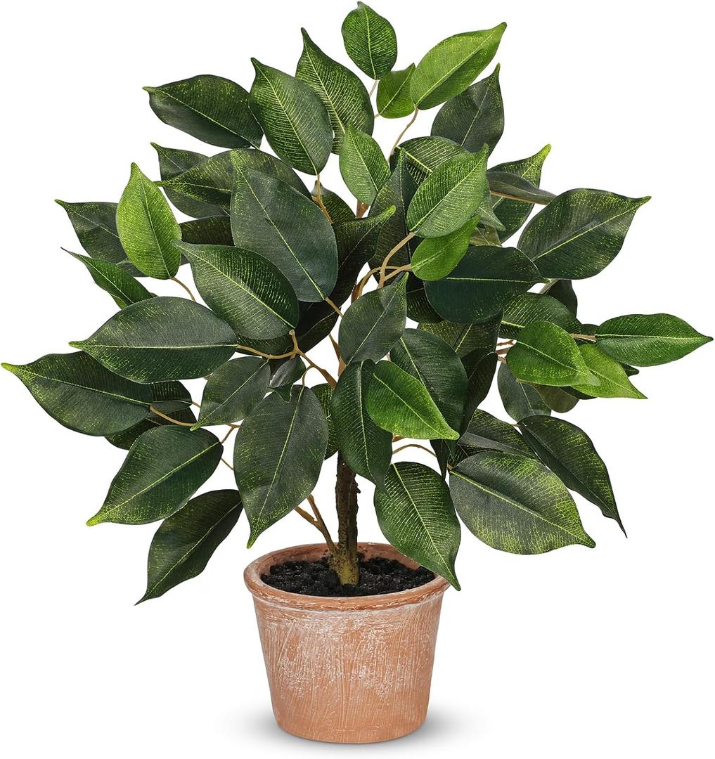 Fake Plant 13" Banyan Tree with Rustic Terracotta Pot Silk Plants for Home Decor Indoor Office Living Room Bedroom Shelf Table Centerpieces