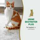 Natures Miracle Urine Destroyer Plus Cat, 32 Ounces,Unscented, Enzymatic Formula, Ready-to-Use (32 Fl Oz (Pack of 1))