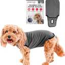 BellyGuard Recovery Suit for Dogs, Comfy Dog Surgery Suit, Female Spay and Male Neuter Onesie for Post-Op Care (Medium, Grey)