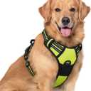 Rabbitgoo Dog Harness No Pull with 2 Leash Clips, Adjustable Soft Padded, Reflective Oxford No Choke Pet Vest with Easy Control Handle for Large Dogs, Green, XL