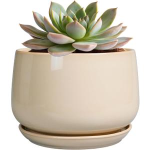 G EPGardening Ceramic Pot for Plants - 6 Inch Planter with Drainage and Ceramic Saucer, Flower Pots for Indoor Plants, Modern Outdoor Planter, Home Decor, Gift for Women Men, Beige