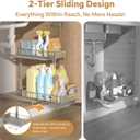 Under Sink Organizer Kitchen - Bathroom Organizers and Storage 2 Tier, Mute Pull Out Cabinet Organizer and Storage Shelves, Slide out Kitchen Organization with Track for Pantry, Grey (Double Layer)
