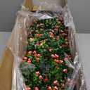 3FT Artificial red Rose Trees2 Pack, Realistic UV Resistant Faux Outdoor Plants for Patio Garden Home Decor