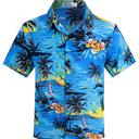 Weecreeture Boy's Button Down Hawaiian Shirt Short Sleeve, Kids Summer Beach Hawaiian Shirts for Boys for 14 Years