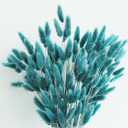 120 PCS Teal Dried Pampas Grass Decor, 17-inch Pompas Floral, Dry Flowers for Decoration, Pampas Grass in All, Bunny Tails Dried Flowers for Boho Wedding Decor