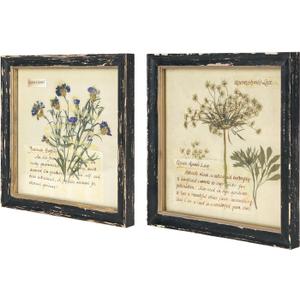 NIKKY HOME Botanical Wall Art Set of 2, Vintage Botanical Prints Wooden Framed Floral Plant Pictures Poster Decor for Bathroom Bedroom Living Room Office, 10x10 Inch