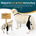 Dog Knee Brace Dog ACL Brace Hind Leg Dog ACL Knee Brace with Extra Collar and Support Treats Kneecap Dislocation Arthritis (Black, M)